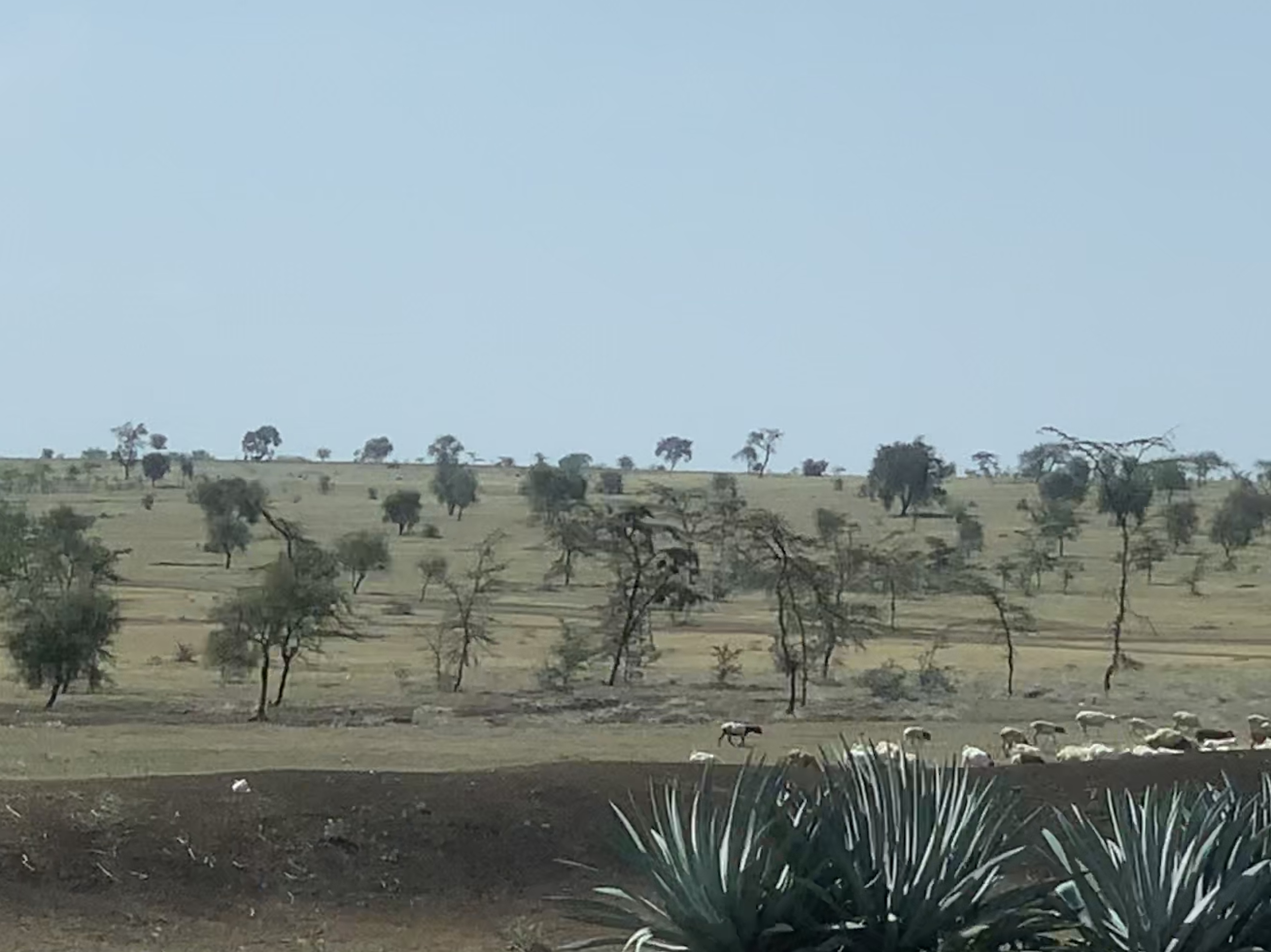TANZANIA AFRICA